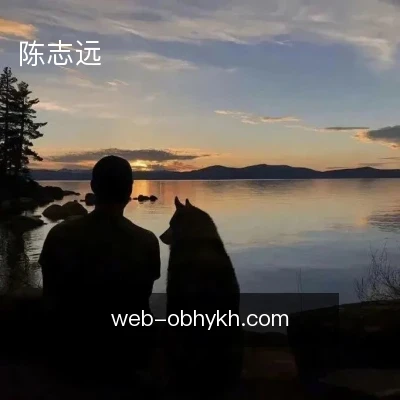 陈志远